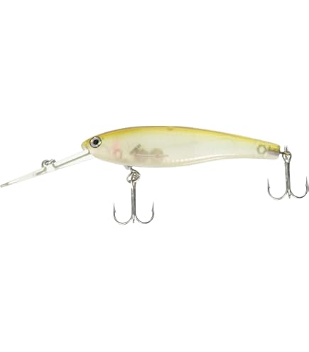 Amazon.co.jp: ハンクル(Hmkl) HMKL シャッド 65SR ステインアユ